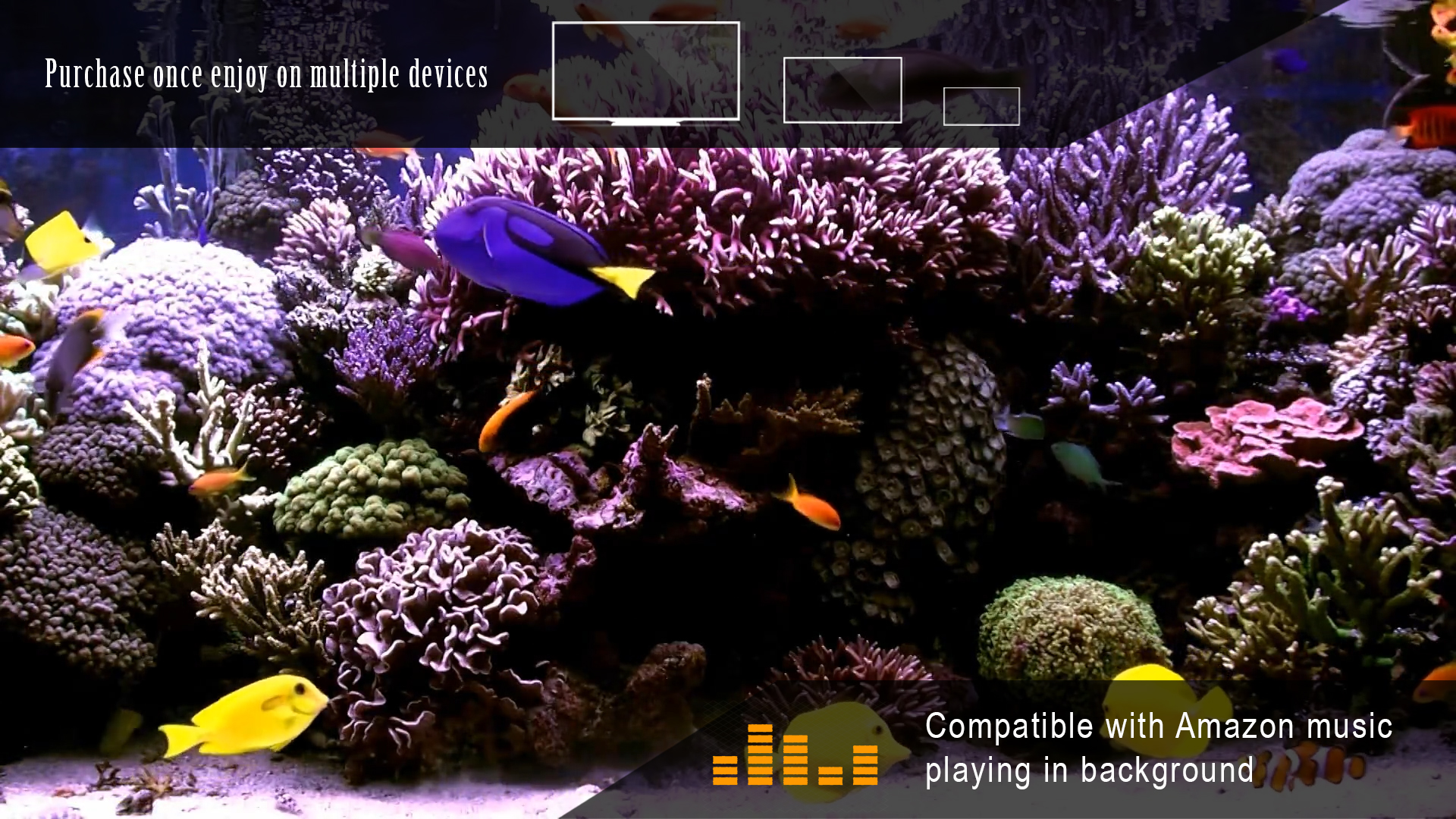 Peaceful Aquariums - App on Amazon Appstore - Coral And Fish Compatibility For Peaceful Aquariums