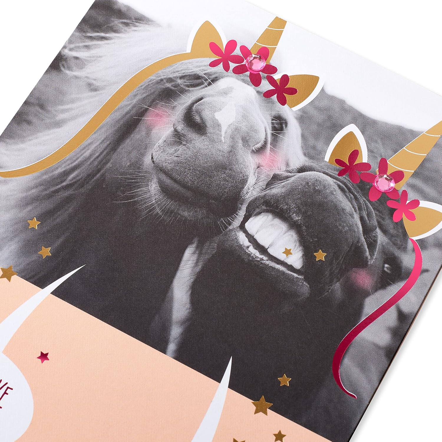 American Greetings Birthday Card for Sister (Picture-Perfect)
