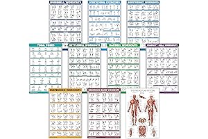10 Pack Laminated Dumbbell, Resistance Bands, and Yoga Workouts Poster Charts