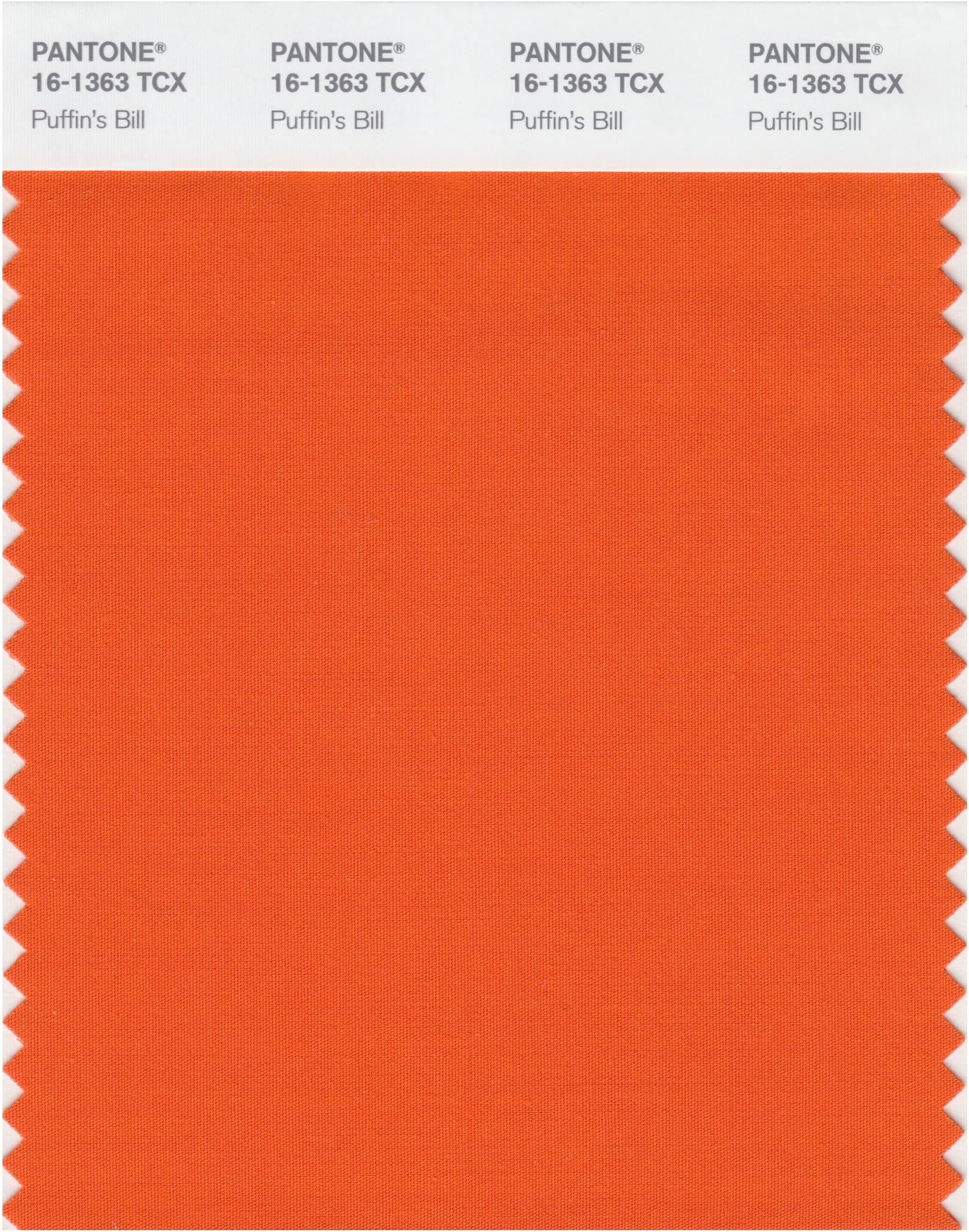 Pantone 16-1363 TCX Smart Color Swatch Card, Puffin's Bill