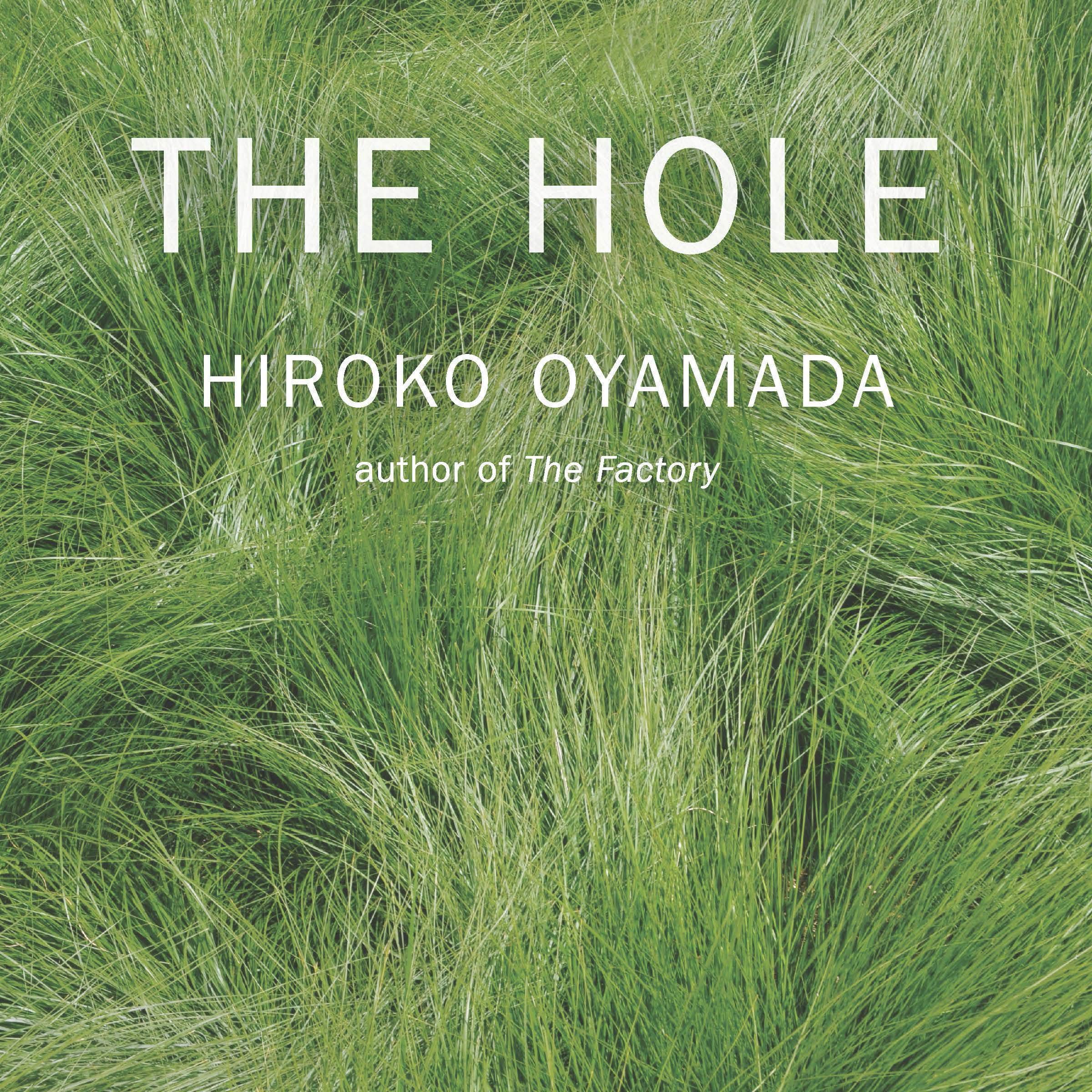 Cover art for The Hole