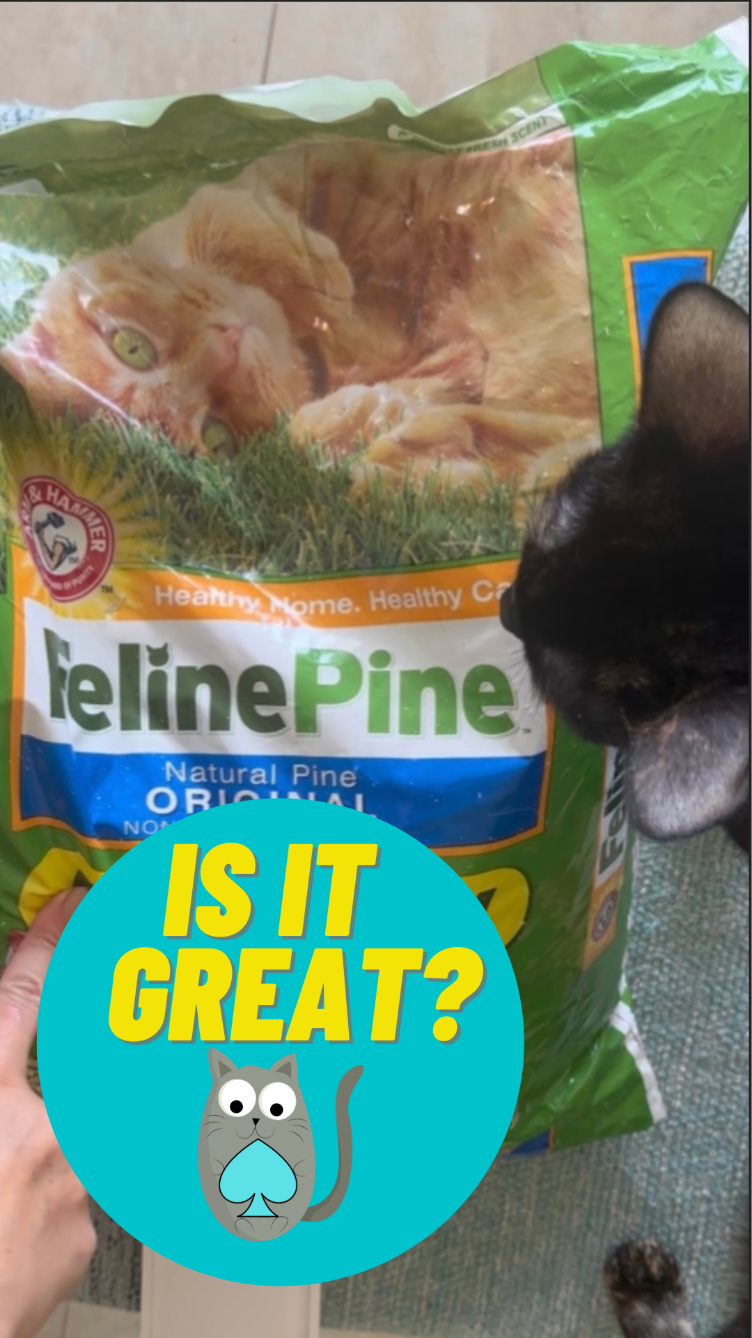 Watch Honest Review of Feline Pine Platinum Cat Litter on Amazon Live