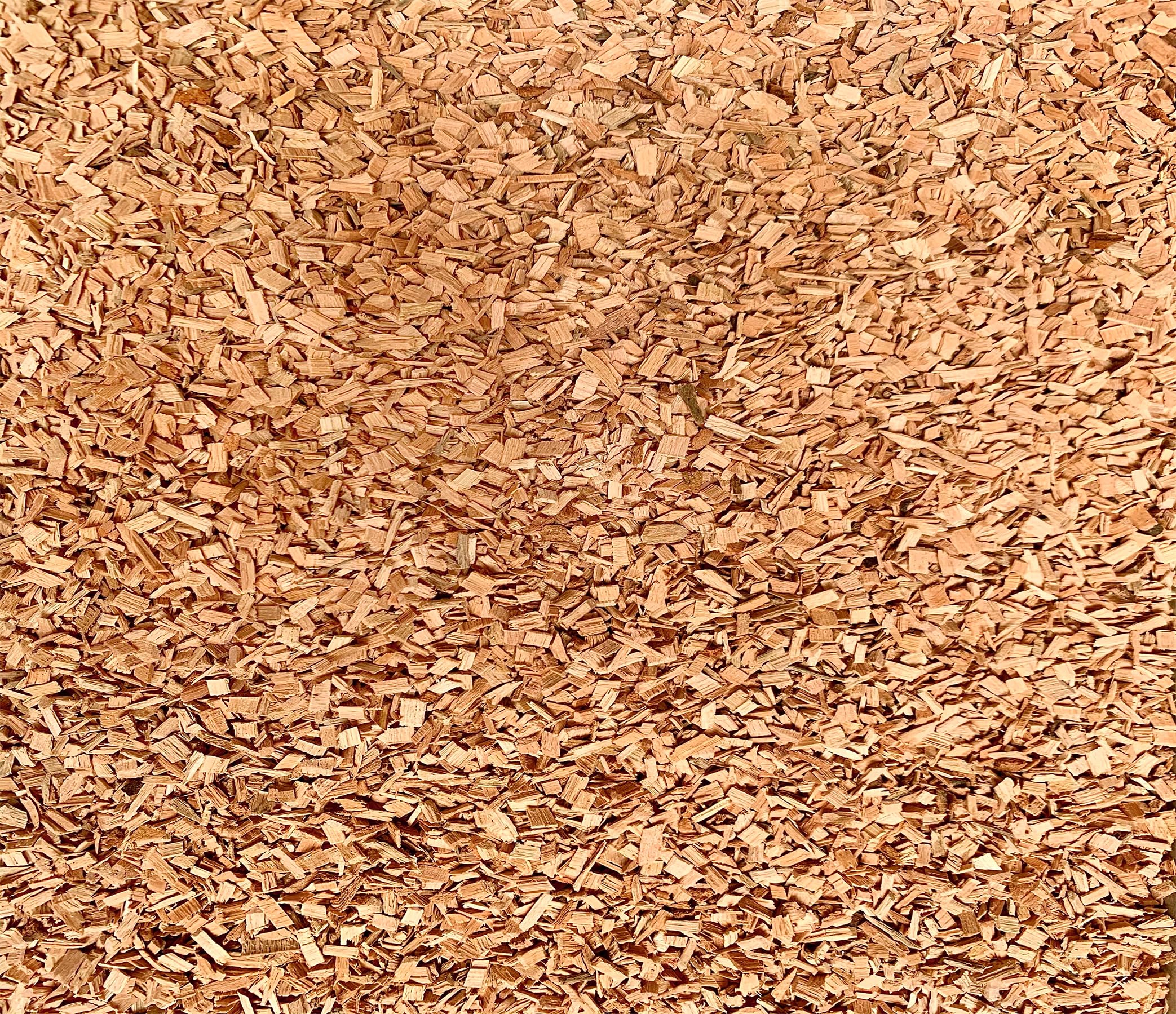PINI Trucioli per affumicatura in faggio, 15 kg, 4 – 6 mm