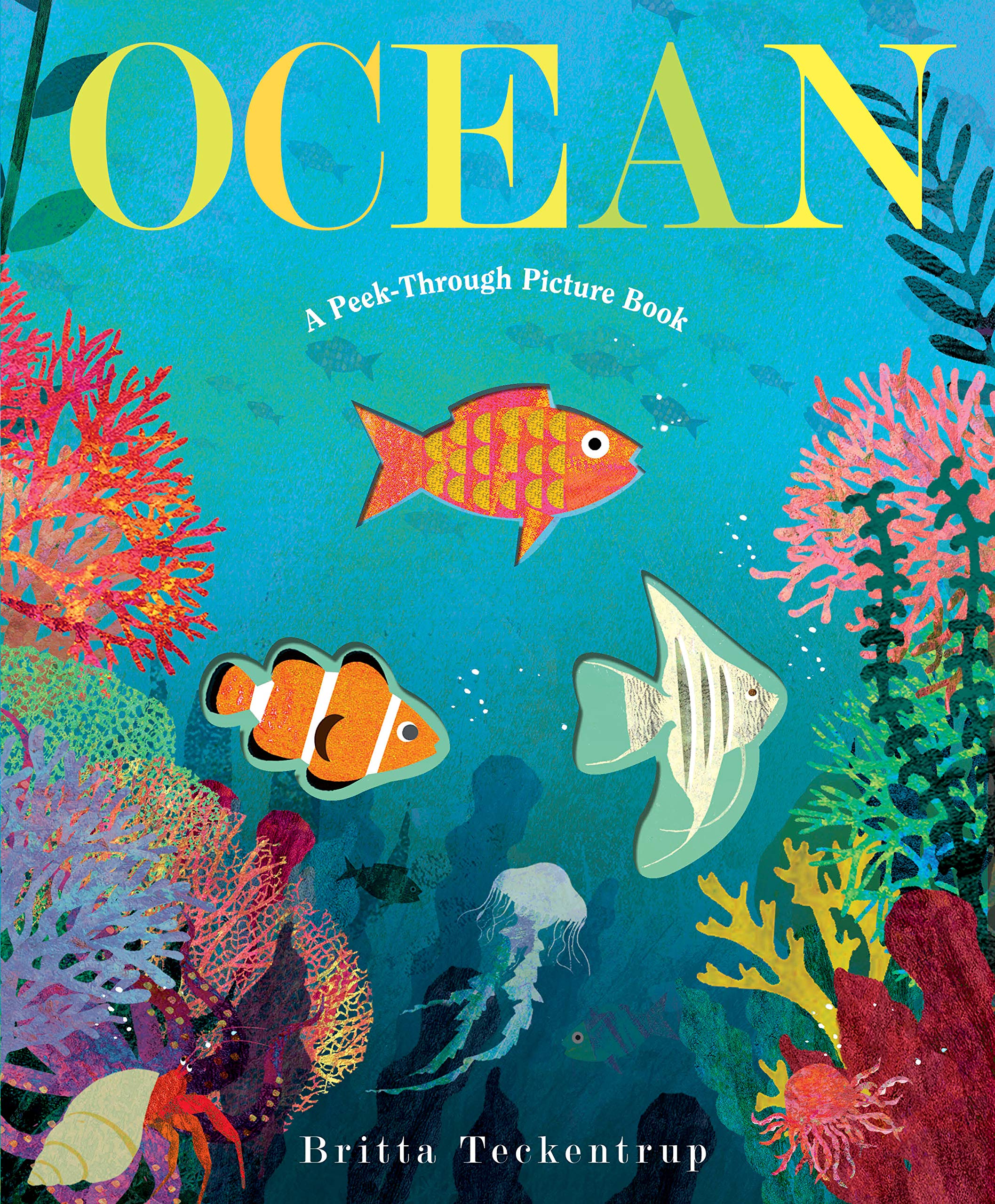Doubleday Books for Young Readers Ocean: A Peek-Through Picture