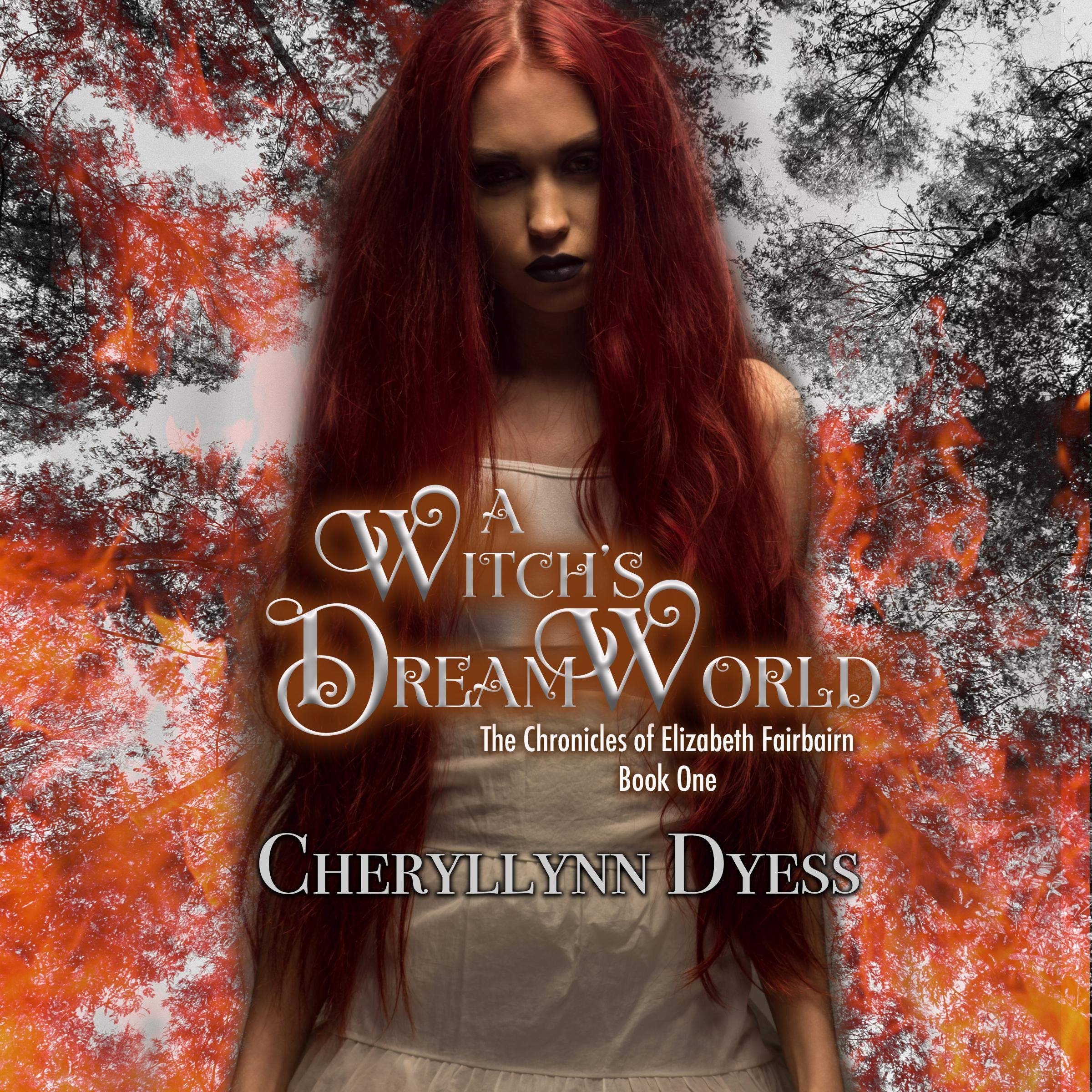 Cover art for A Witch's Dream World