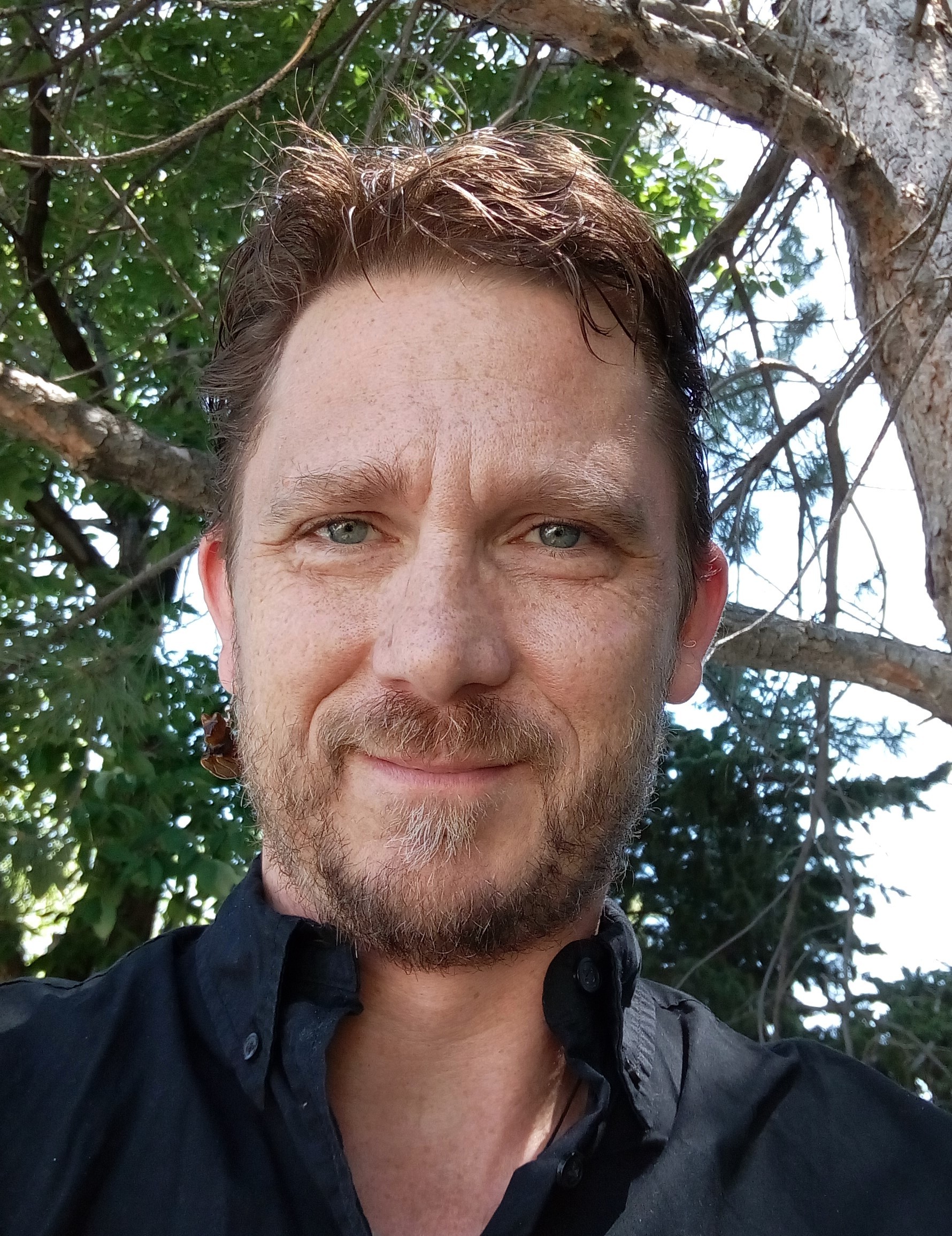 Brian Howard books, biography, latest update