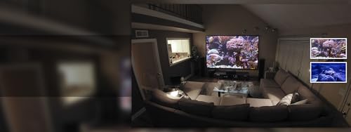free deep fish tank HD - decore seu quarto com um lindo aquário ao vivo em sua TV HDR 4K, TV 8K e di