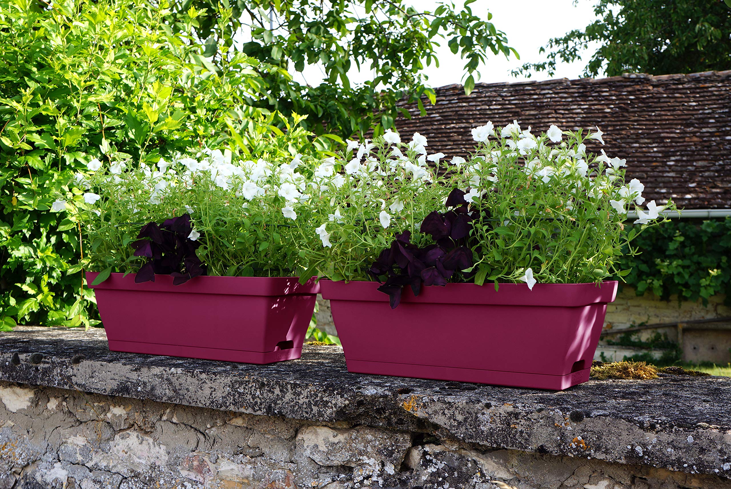 Promo Jardinière Avec Support Roméo Poétic chez Botanic