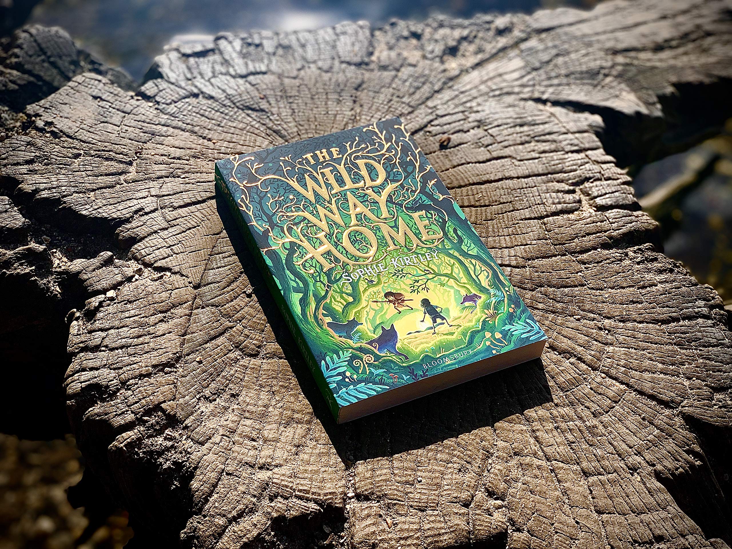 The Wild Way Home