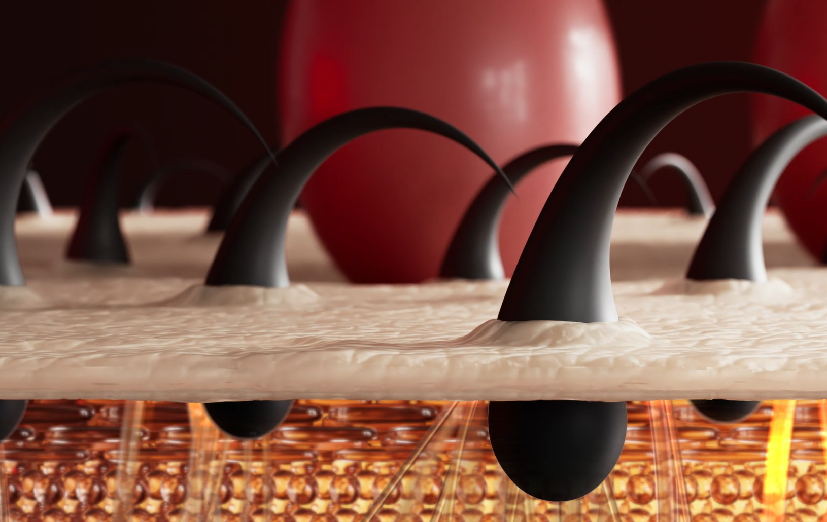 Amazon | breo 電動頭皮ブラシ ヘッドスパ 頭皮ケア ヘアケア スカルプ