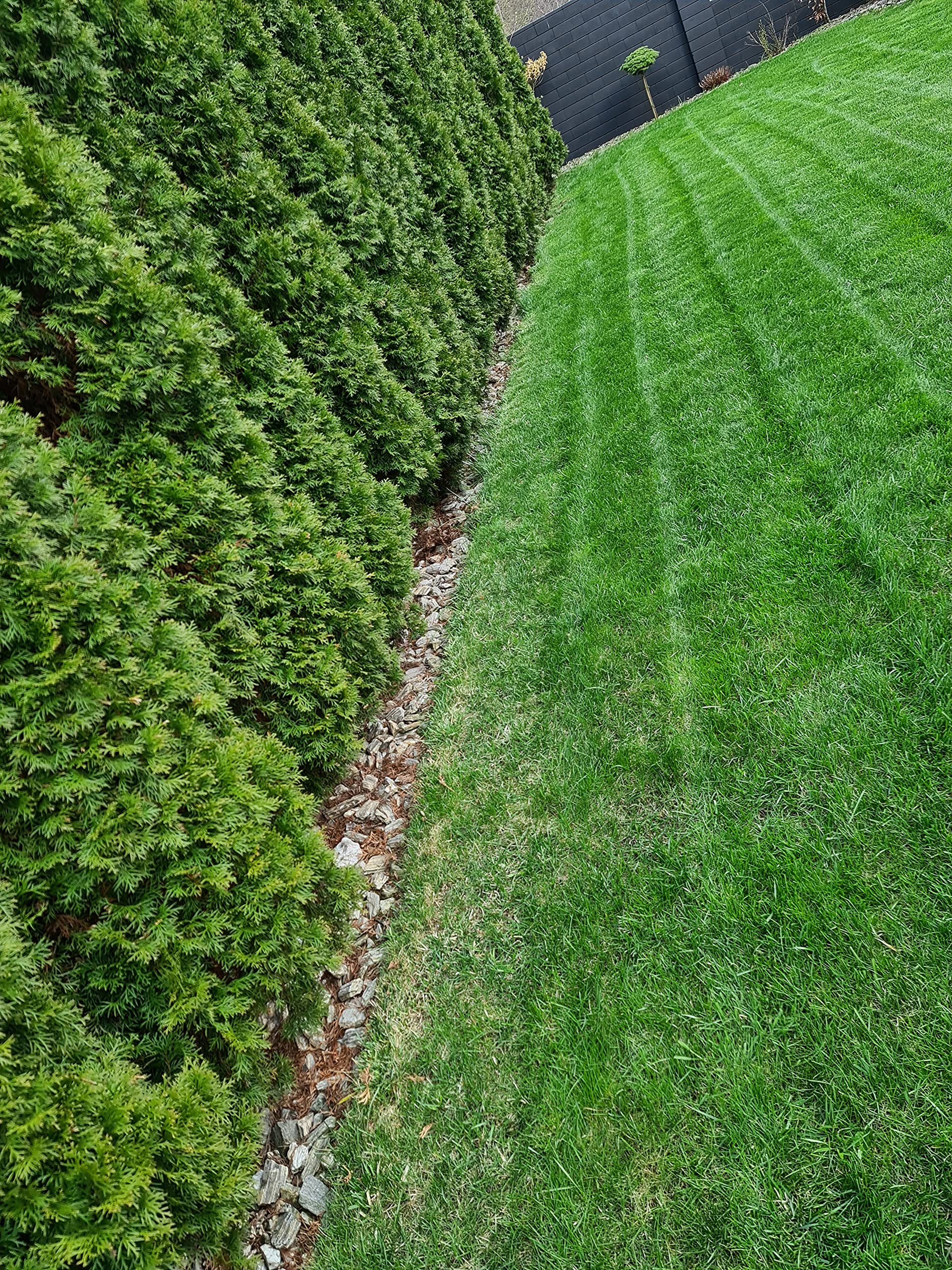 10 metres of BLACK Flexible Plastic GARDEN EDGING with 50 STRONG