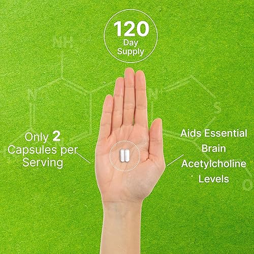 Miniatura 5 de DEAL SUPPLEMENT Alpha GPC 600mg por porción, 240 cápsulas  Reposición de colina biodisponible  Suplementos nootrópicos para la salud cerebral para