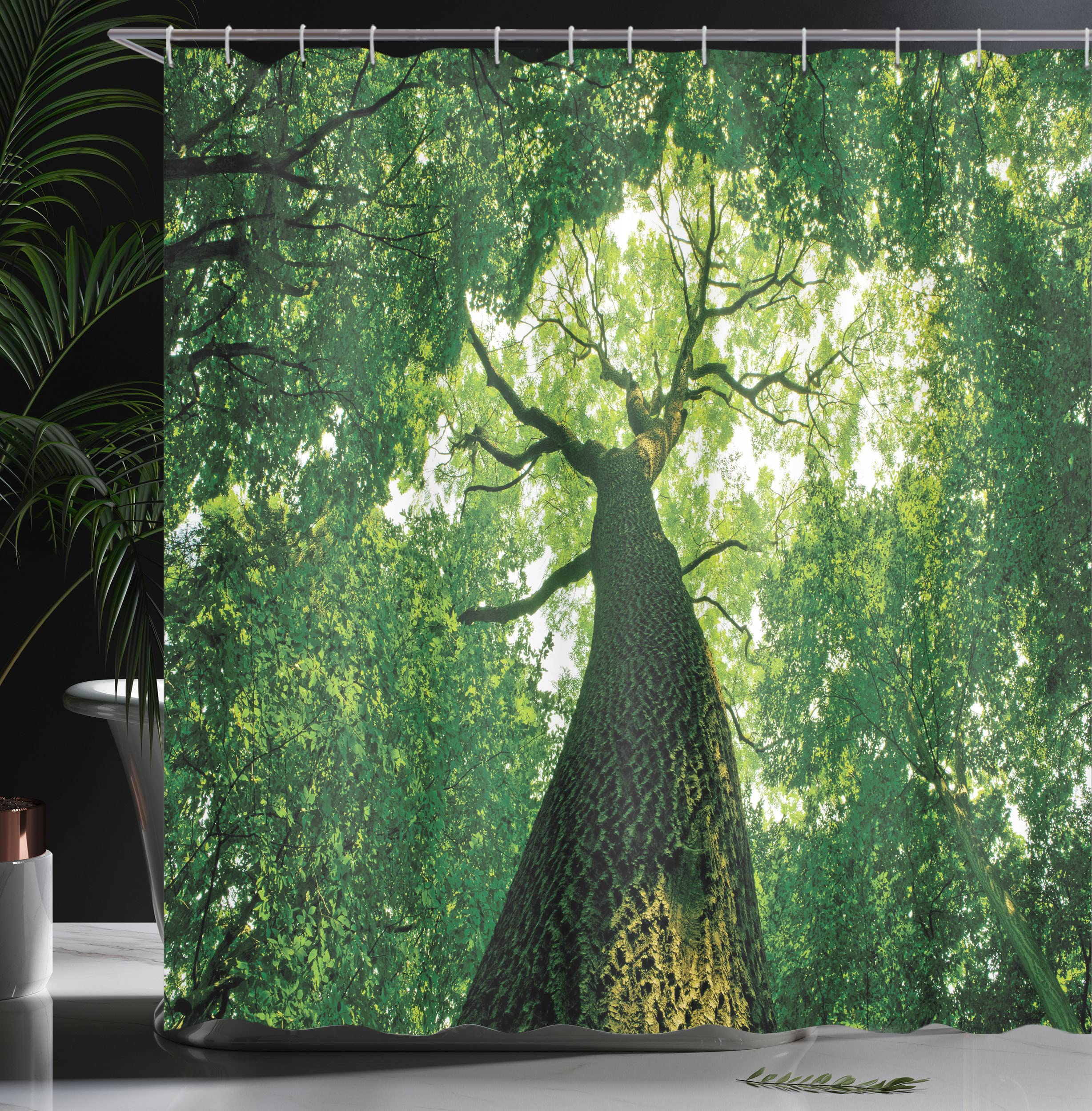 ABAKUHAUS Forest Shower Curtain, Tall Old Tree View Sun Rays Top Branches Leaves Nature Picture - Image 3