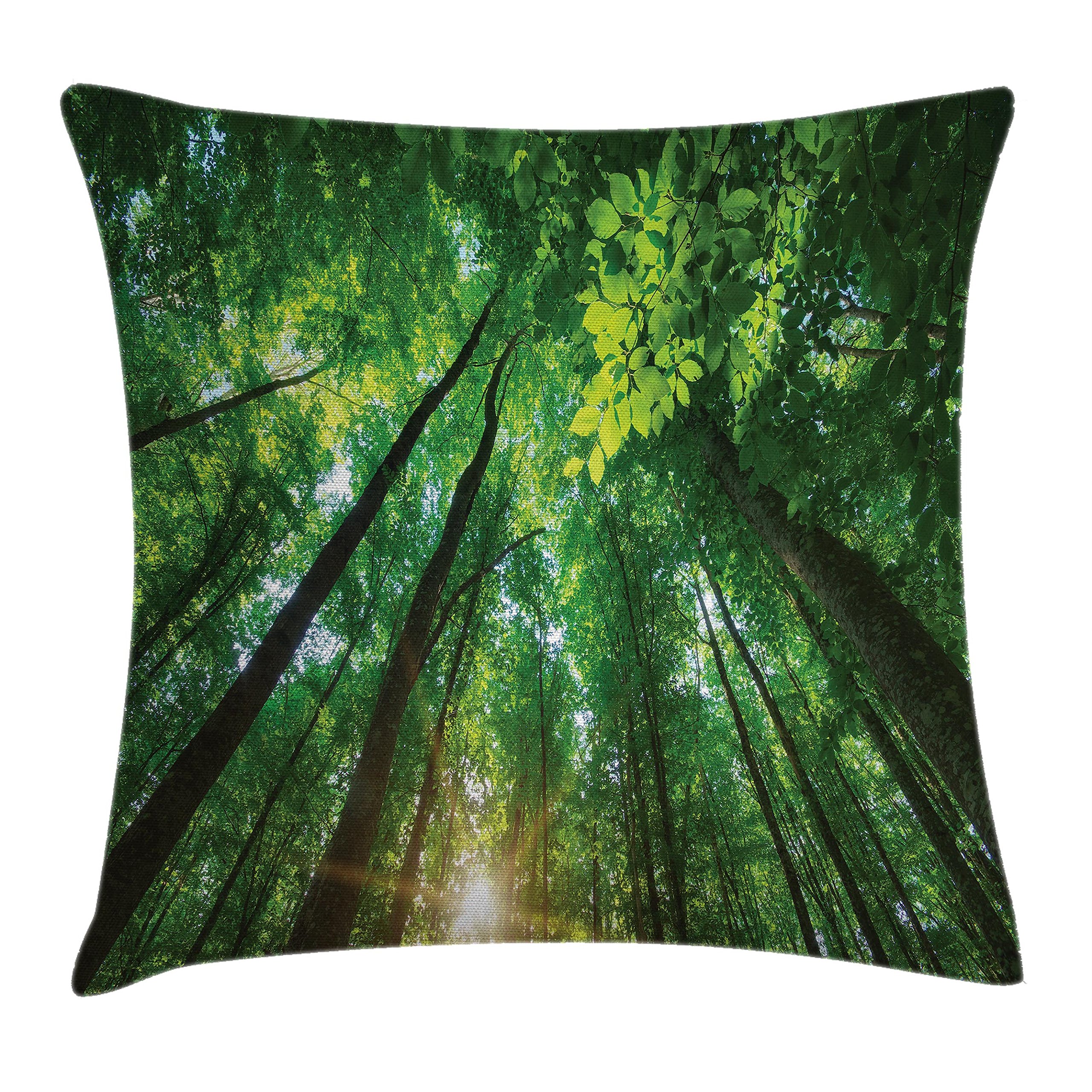 Ambesonne Forest Throw Pillow Cushion Cover, Vibrant Sun Braming Through Foliage Forest Under Tall Trees into The Nature Picture, Decorative Square Accent Pillow Case, 18" X 18", Green Brown