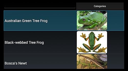 Quiz de curiosidades de espécies de anfíbios