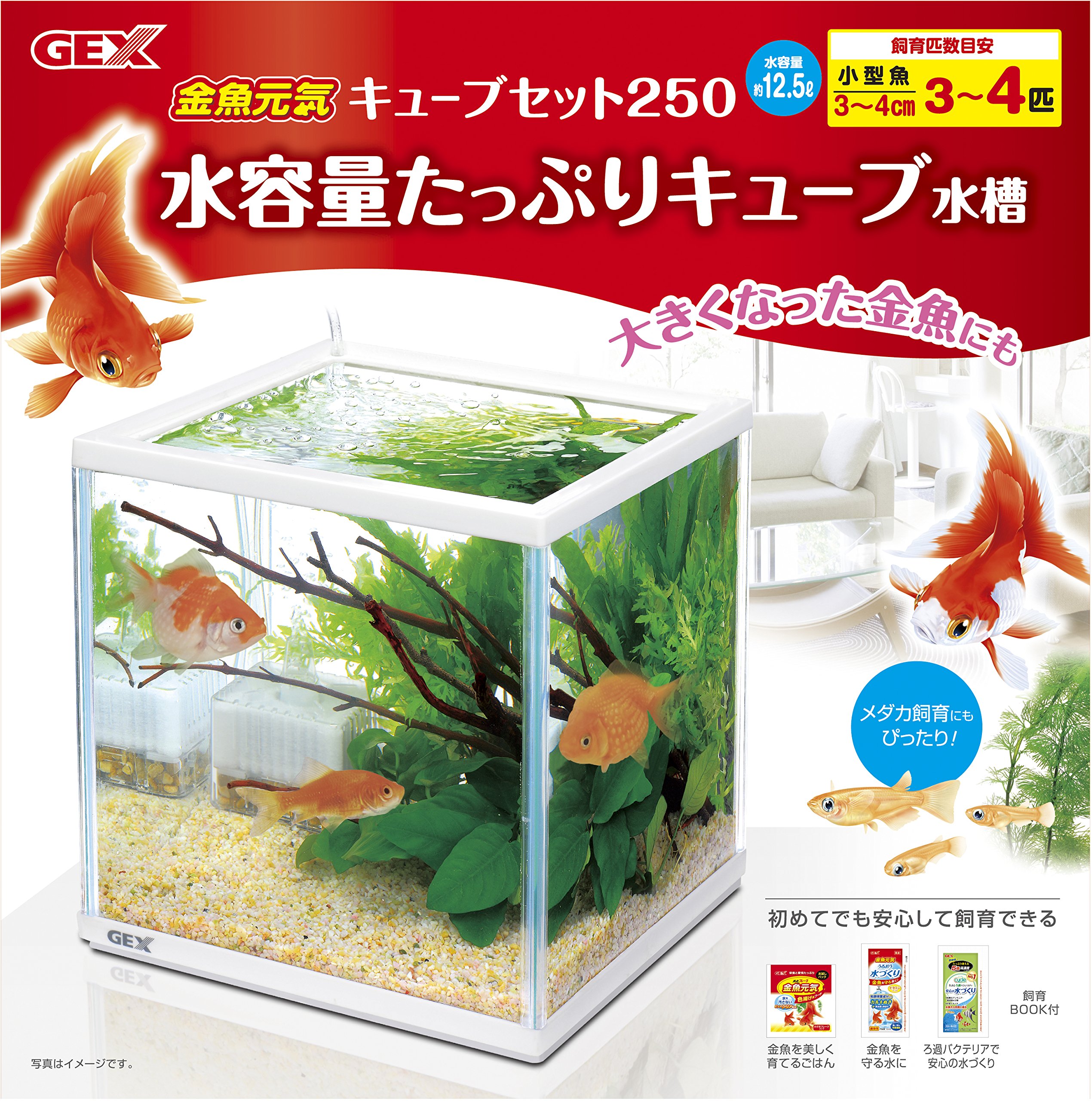 Amazon | 【在庫限り/メーカー終売】ジェックス 金魚元気 キューブ