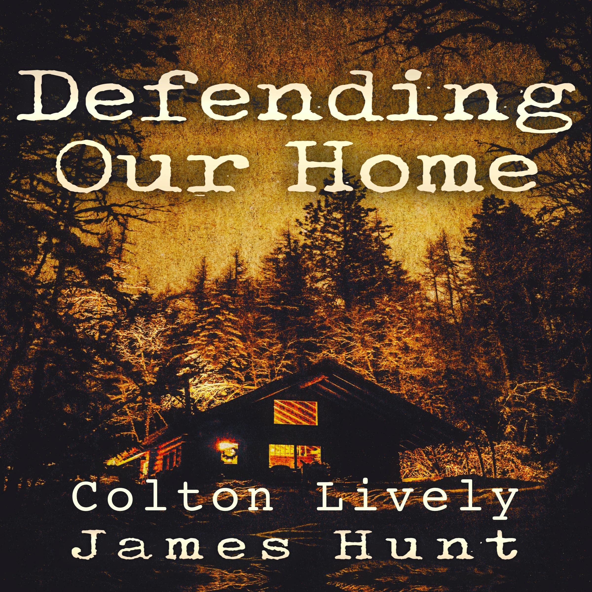 Cover art for Defending Our Home Boxset