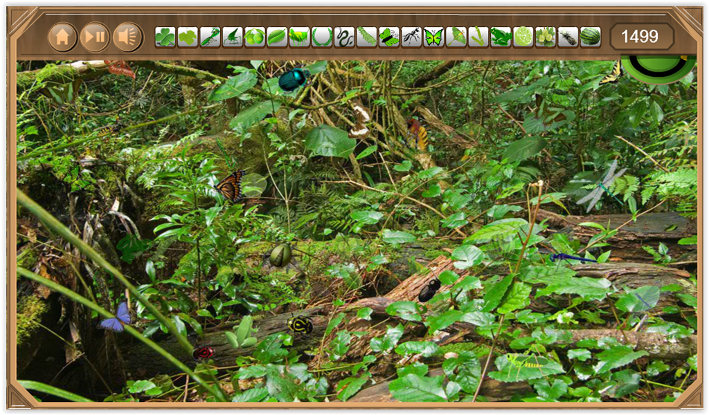 Rain Forest Hidden Objects - App on Amazon Appstore