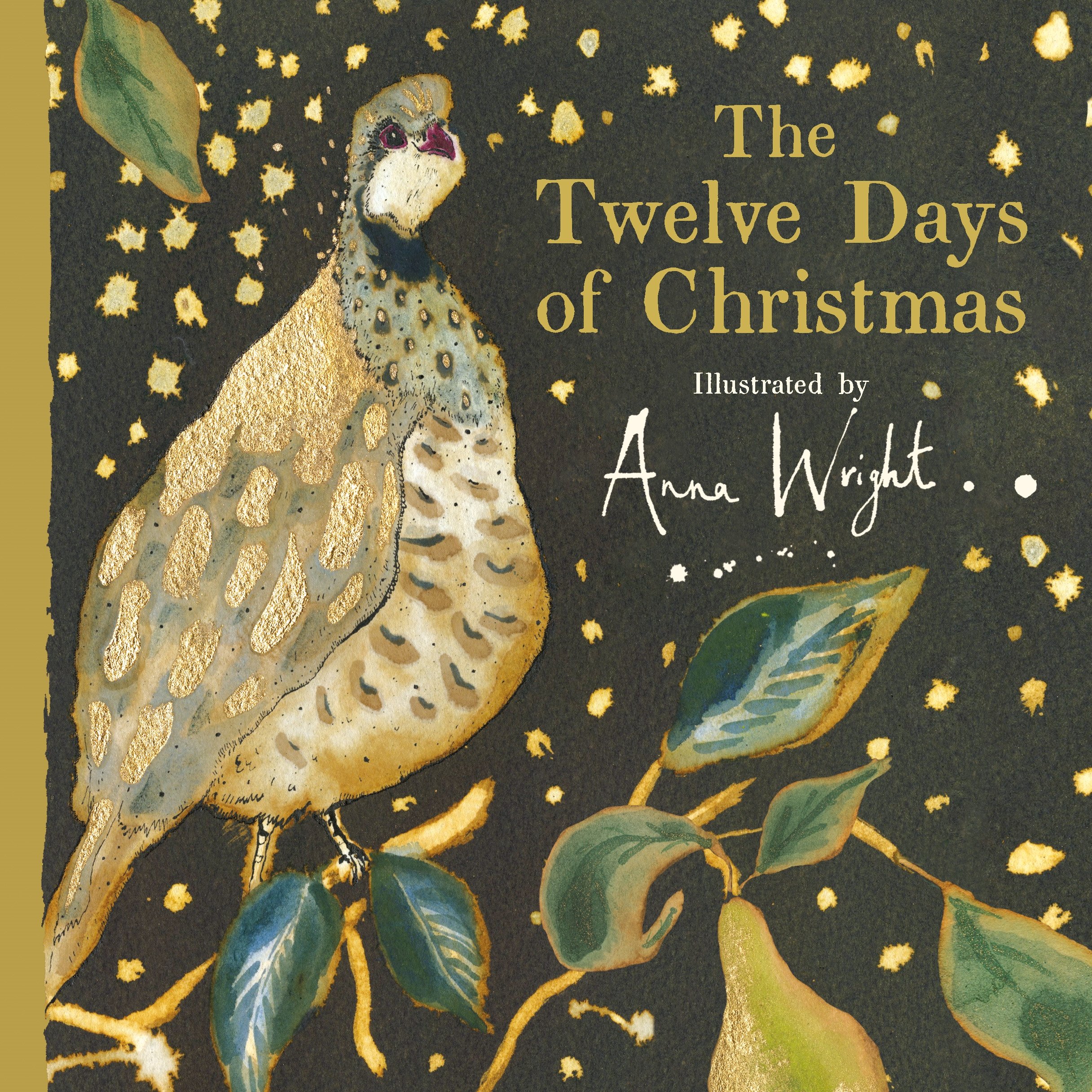 The Twelve Days of Christmas Magnificent Creatures by Anna Wright HARDBACK