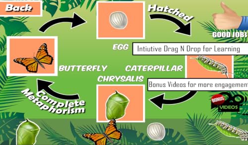 Animals Life Cycle - Insects and Arachnids Free