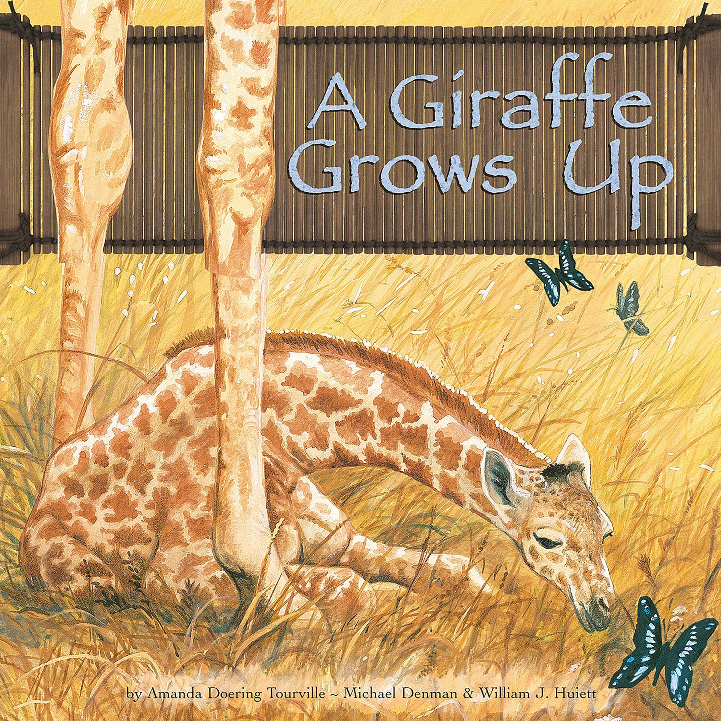 A Giraffe Grows Up
