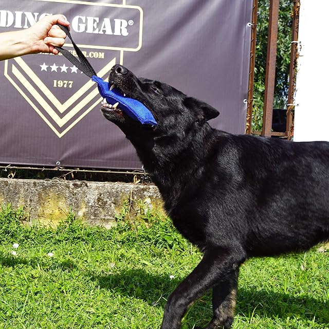Foto 7 de 8 de Dingo Gear - Remolcador de Nailon para Entrenamiento de Perros IGP IPO Schutzhund Blind Search Drive Fetch…