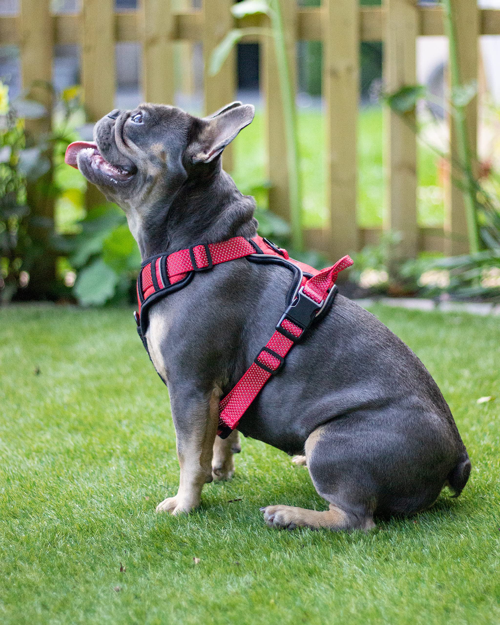 Rosewood Arnés Reflectante para Perro, Grande, Rojo