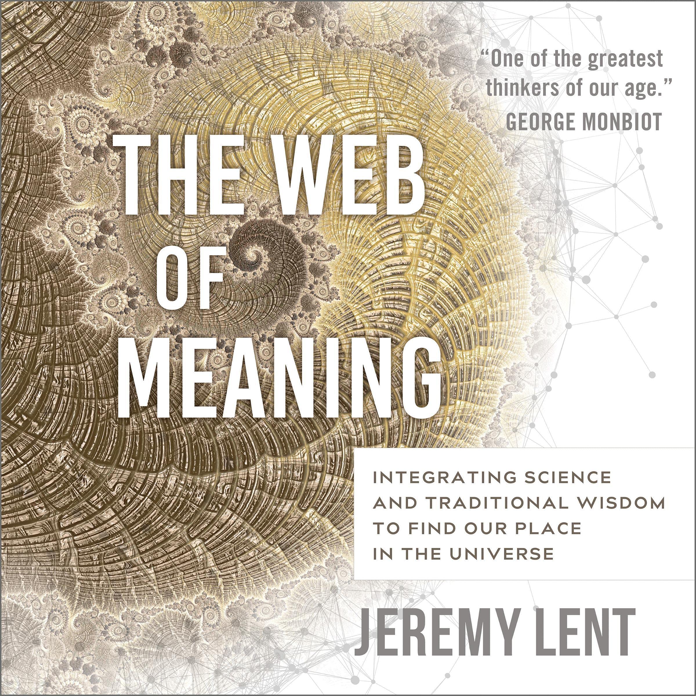 Cover art for The Web of Meaning