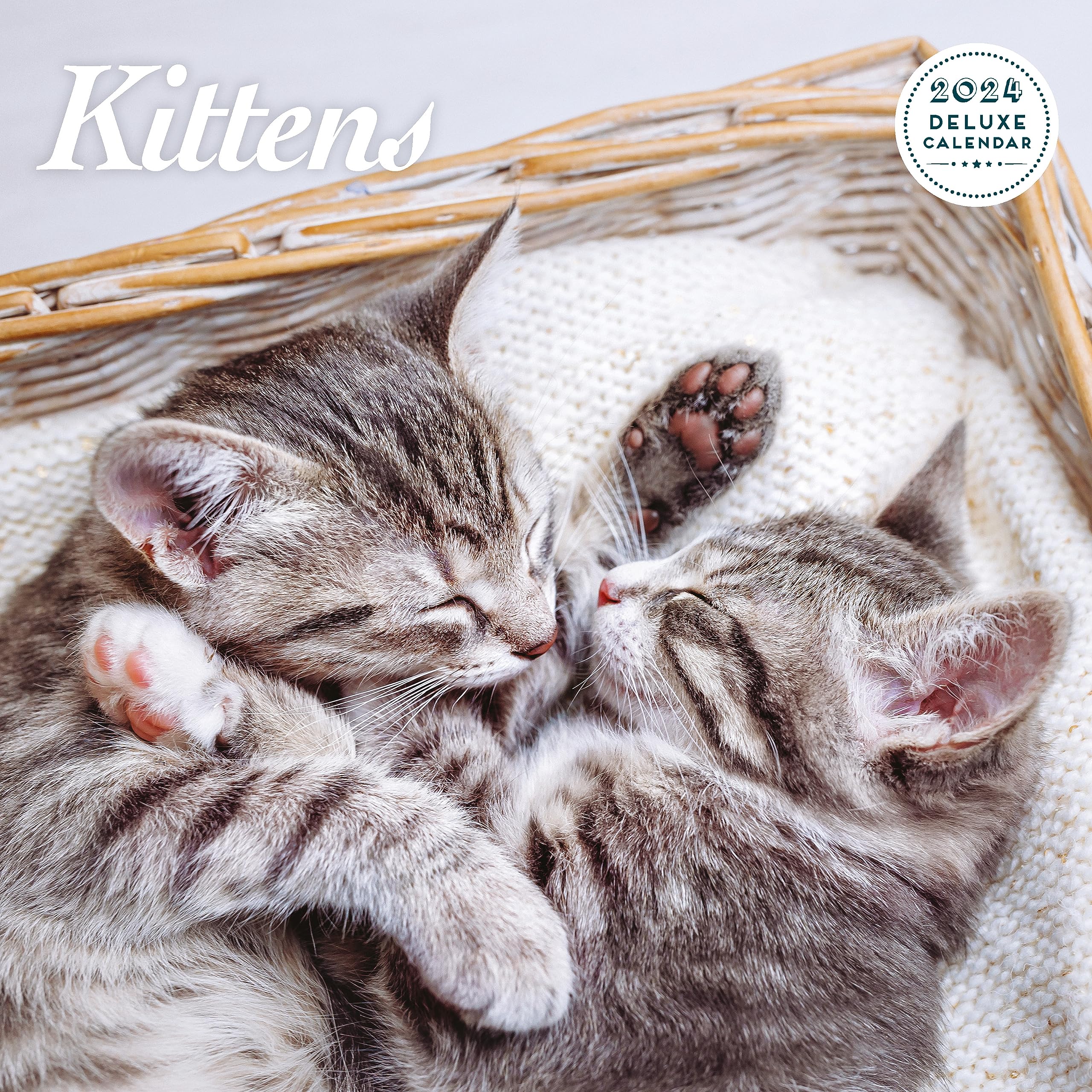 Kitten Deluxe 2024 Calendar