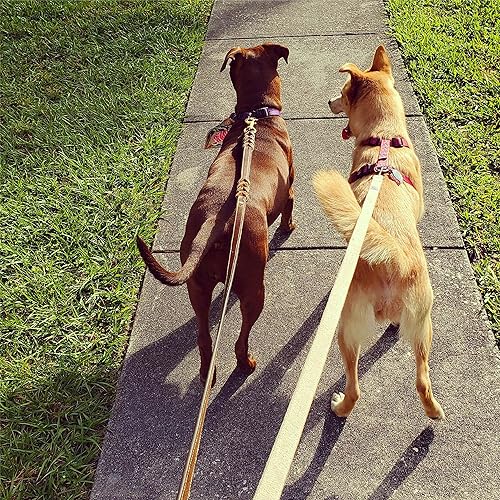 Miniatura 6 de VetGen Pharmaceuticals Correa de tela de cáñamo natural de 6 pies para perros, sostenible, biodegradable y respetuosa con el medio ambiente, perno