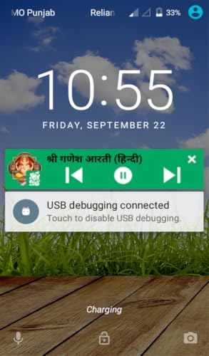 Ganpati Ganesh – vue 7