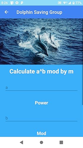 Dolphin Saving Group