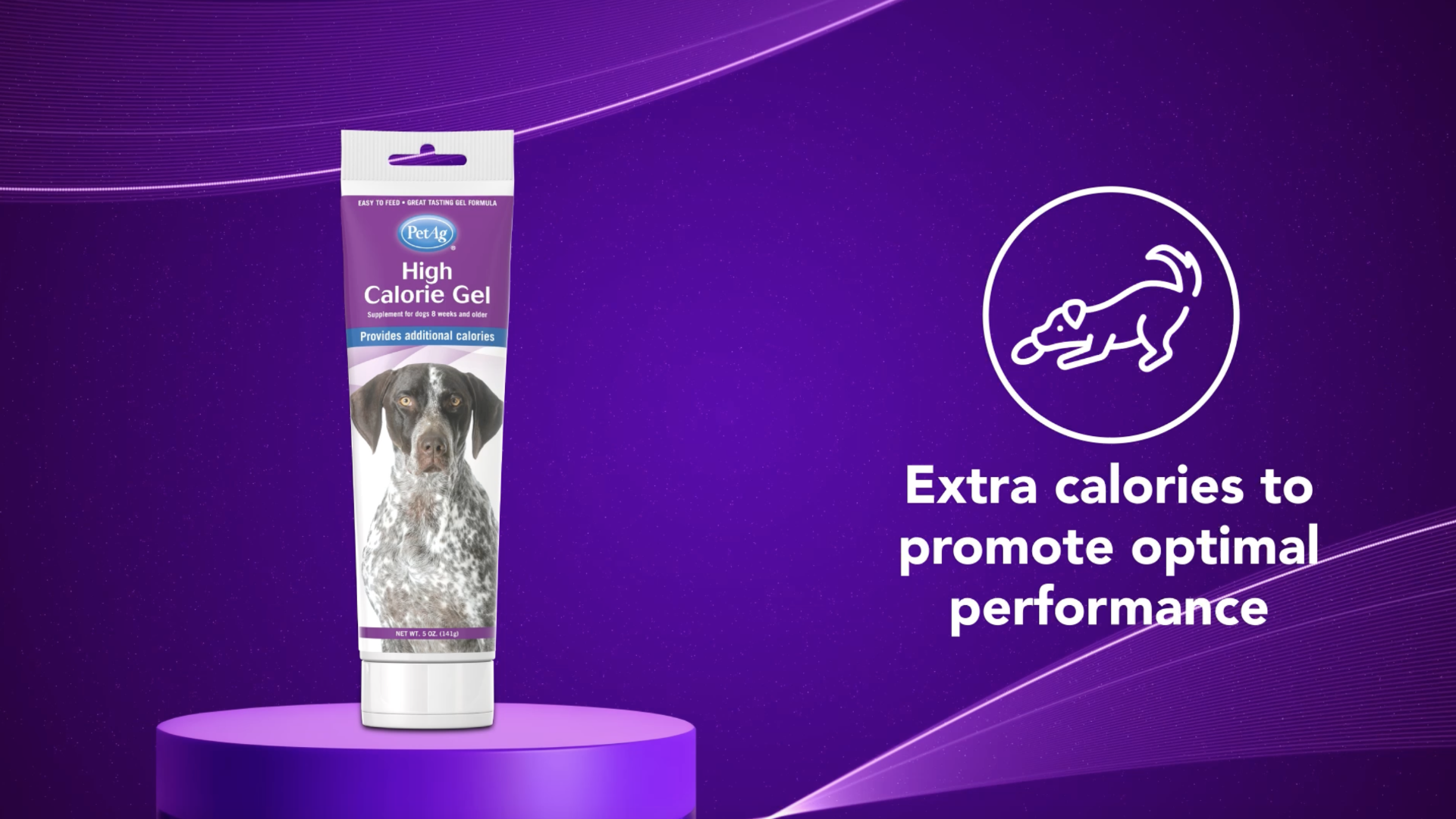 Amazon.com : PetAg High Calorie Gel Supplement for Dogs - 5 oz