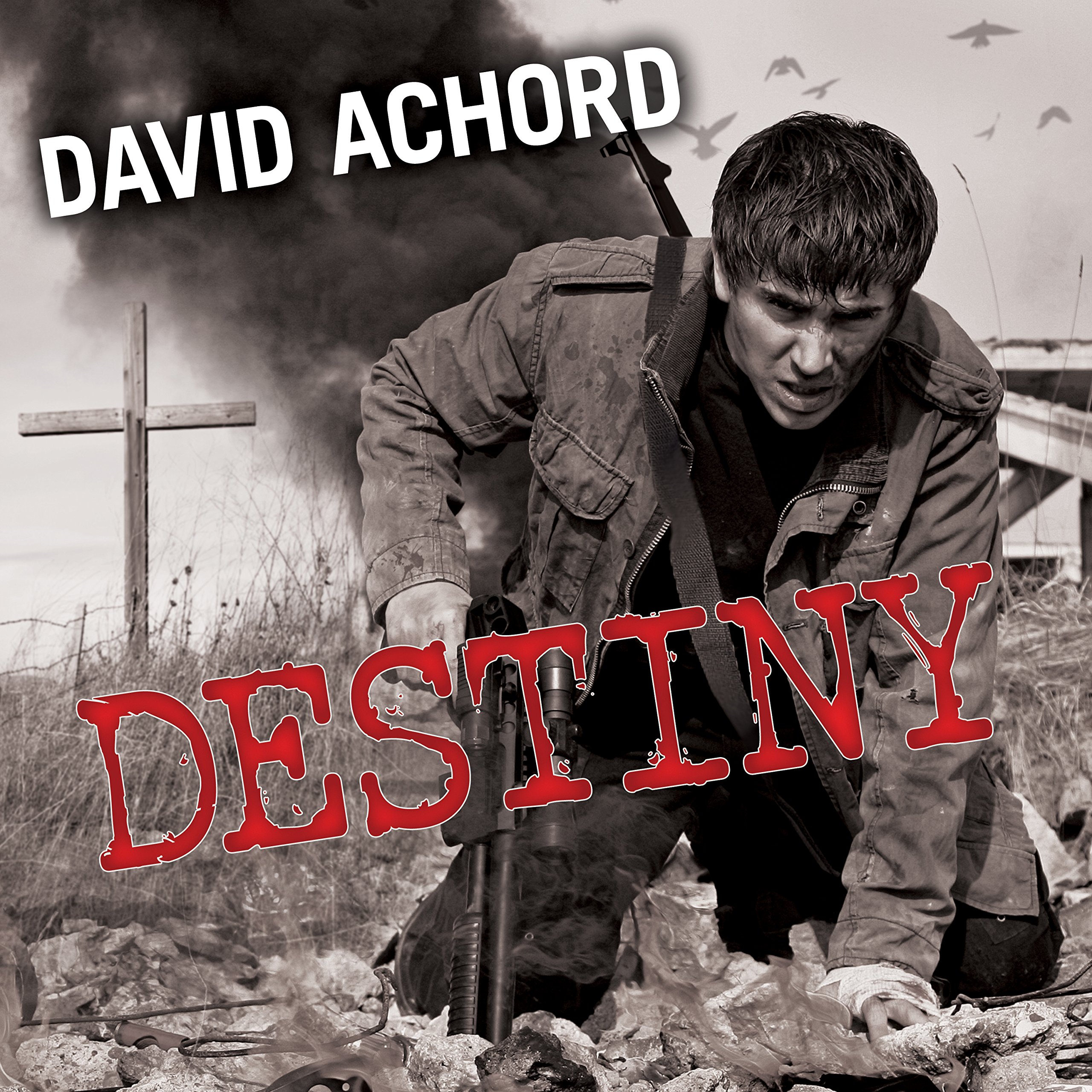 Cover art for Destiny