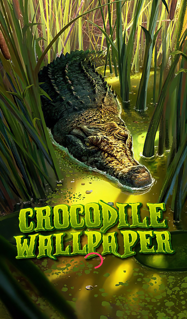 Crocodile Wallpapers UHDAmazon.inAppstore for Android