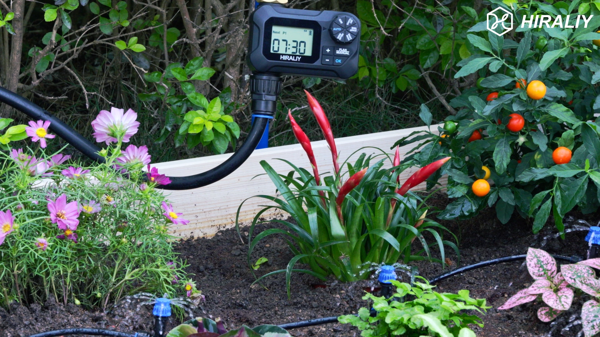 Timer Riser Spaces Orbit Spray Head Sprinkler Orbit 54345 Pop-Up Sprinkler Head With Half ...