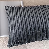 Vista 233 de UGASA - Juego de 2 fundas de almohada de terciopelo a rayas, funda decorativa para cojín con cremallera oculta para el hogar, sofá, dormitorio