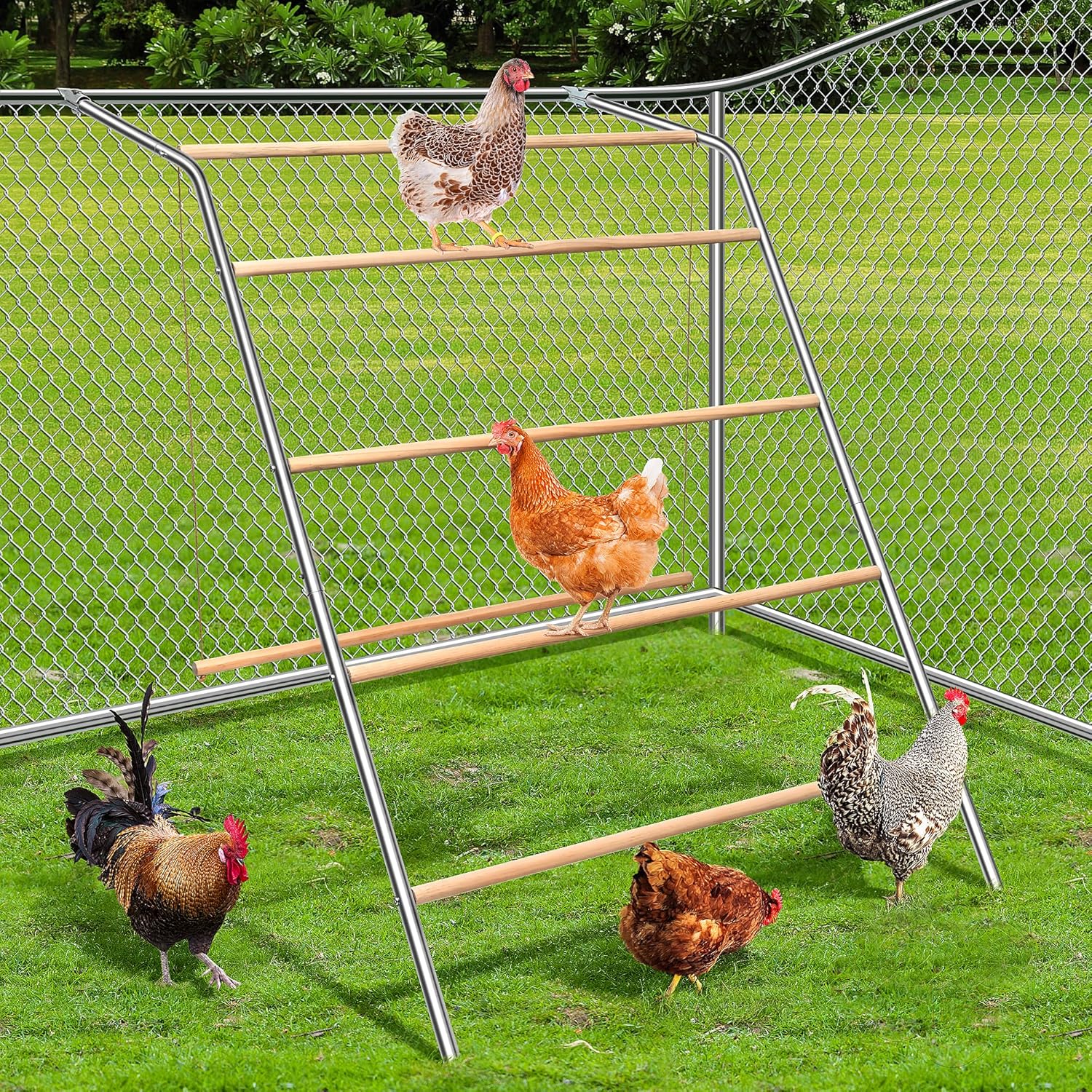 Chicken Roosting Bars with Swing for Coop, Large 4-Tier Wood Chicken Perch for Backyard Poultry, Non-Slip Design, Durable Galvanized Metal Frame, Essential Chicken Coop Accessories (55" L x 40" W)