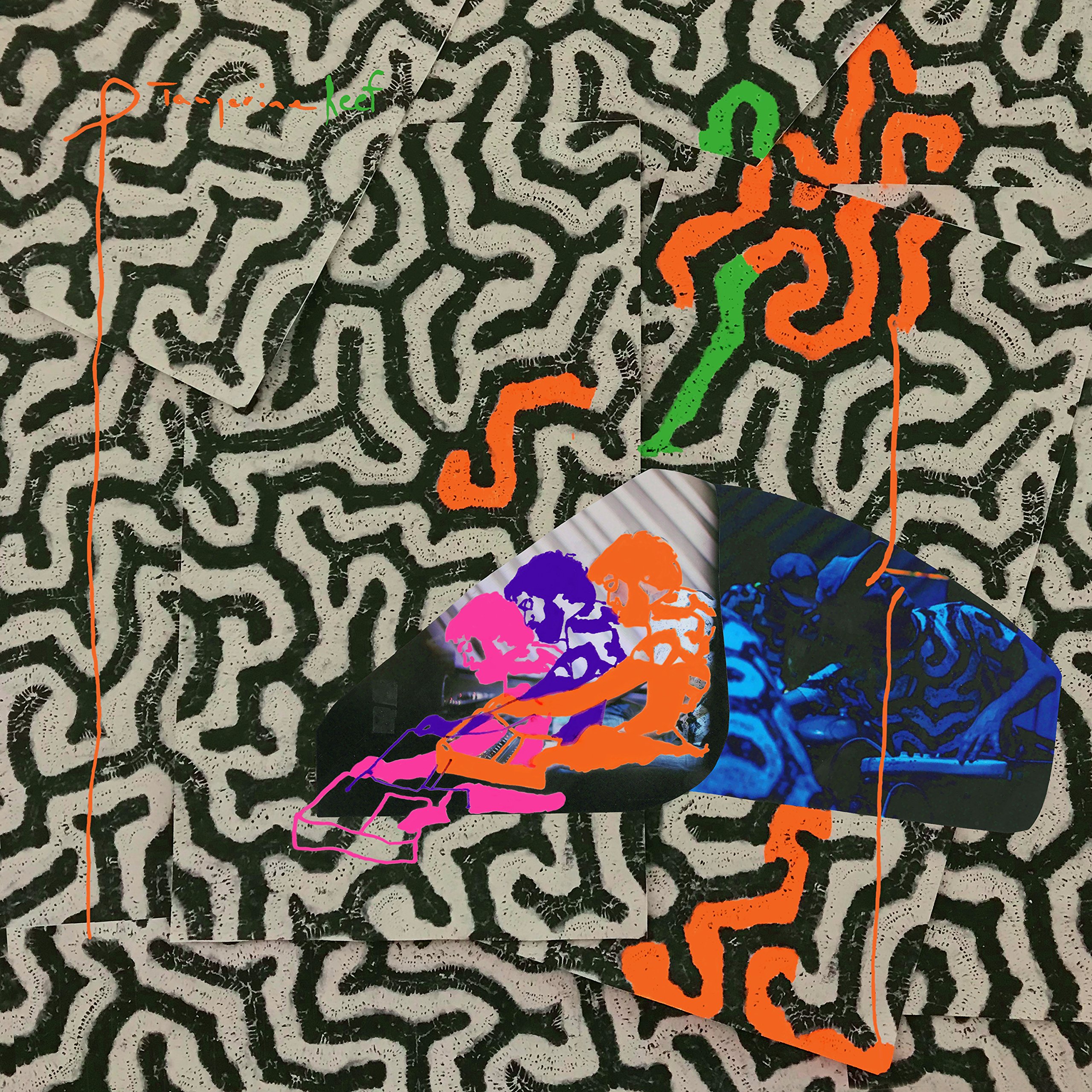 Tangerine Reef [VINYL]