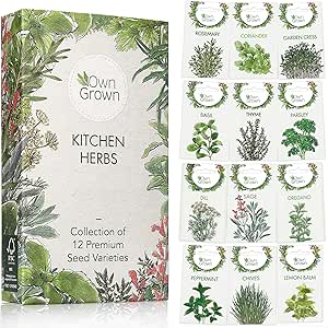 KüchenkräutersamenSet 12 Sorten Küchenkräuter als praktische