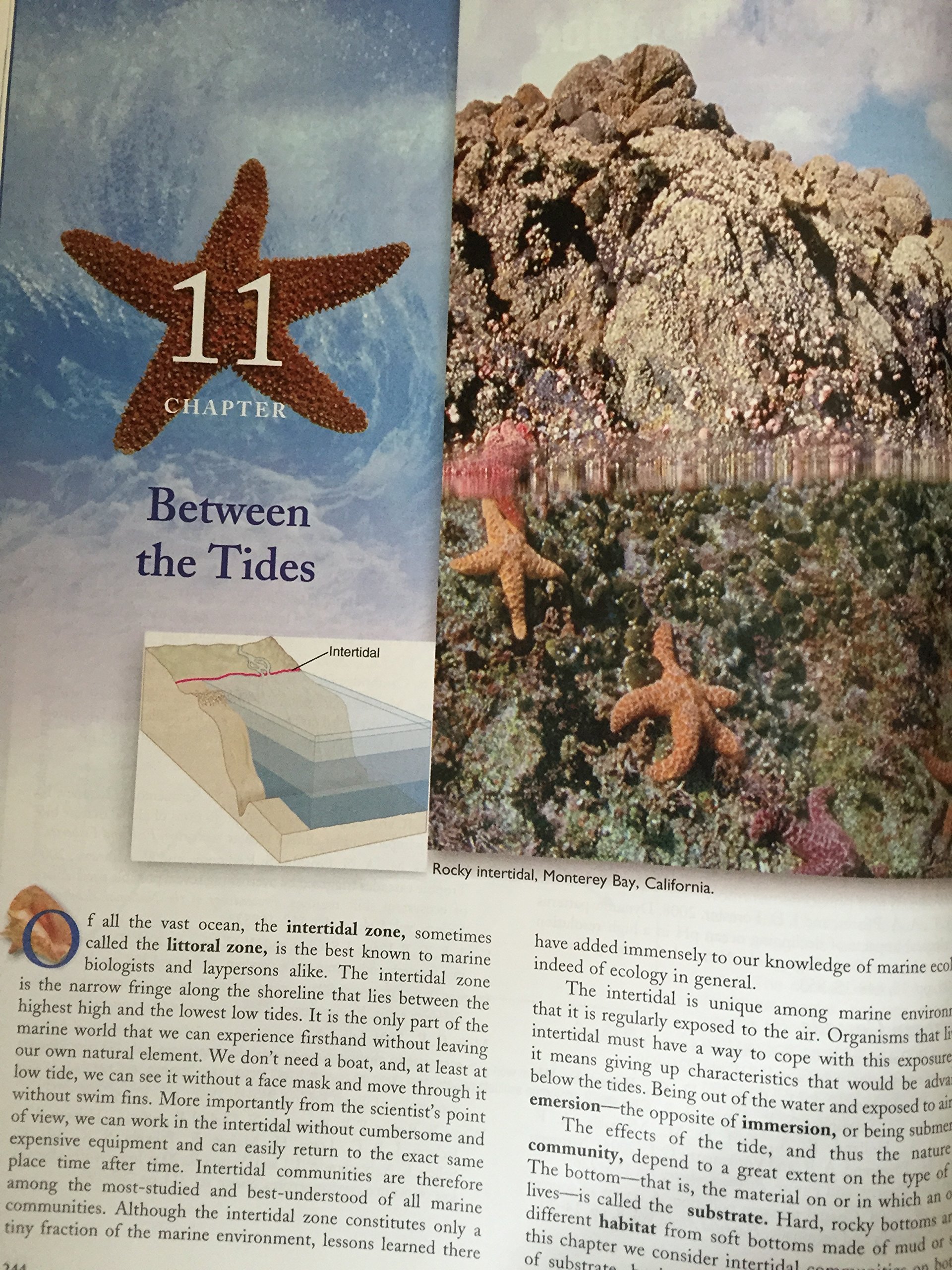 Marine Biology - Image 6