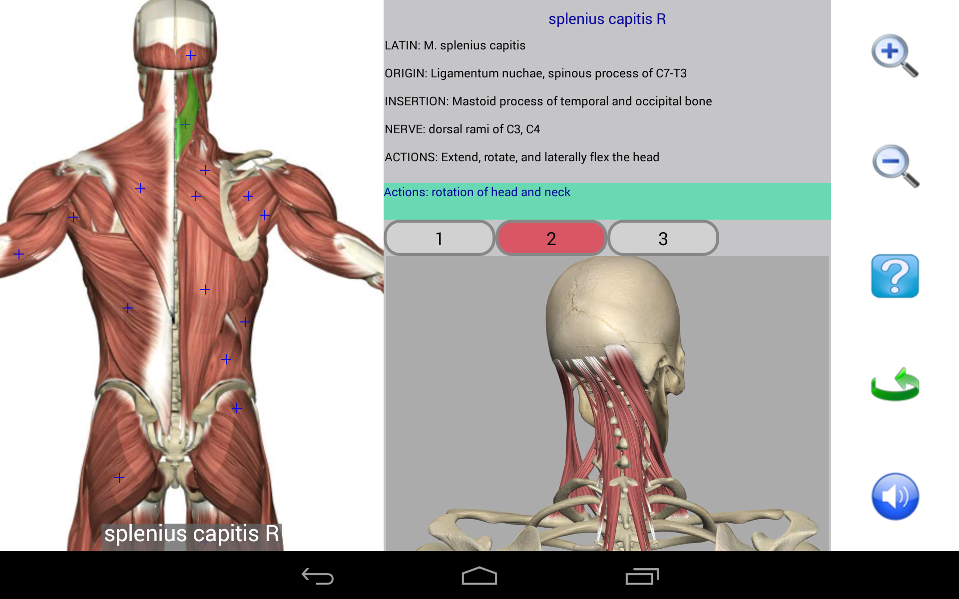 Visual Anatomy Free-Amazonアプリストアのアプリ