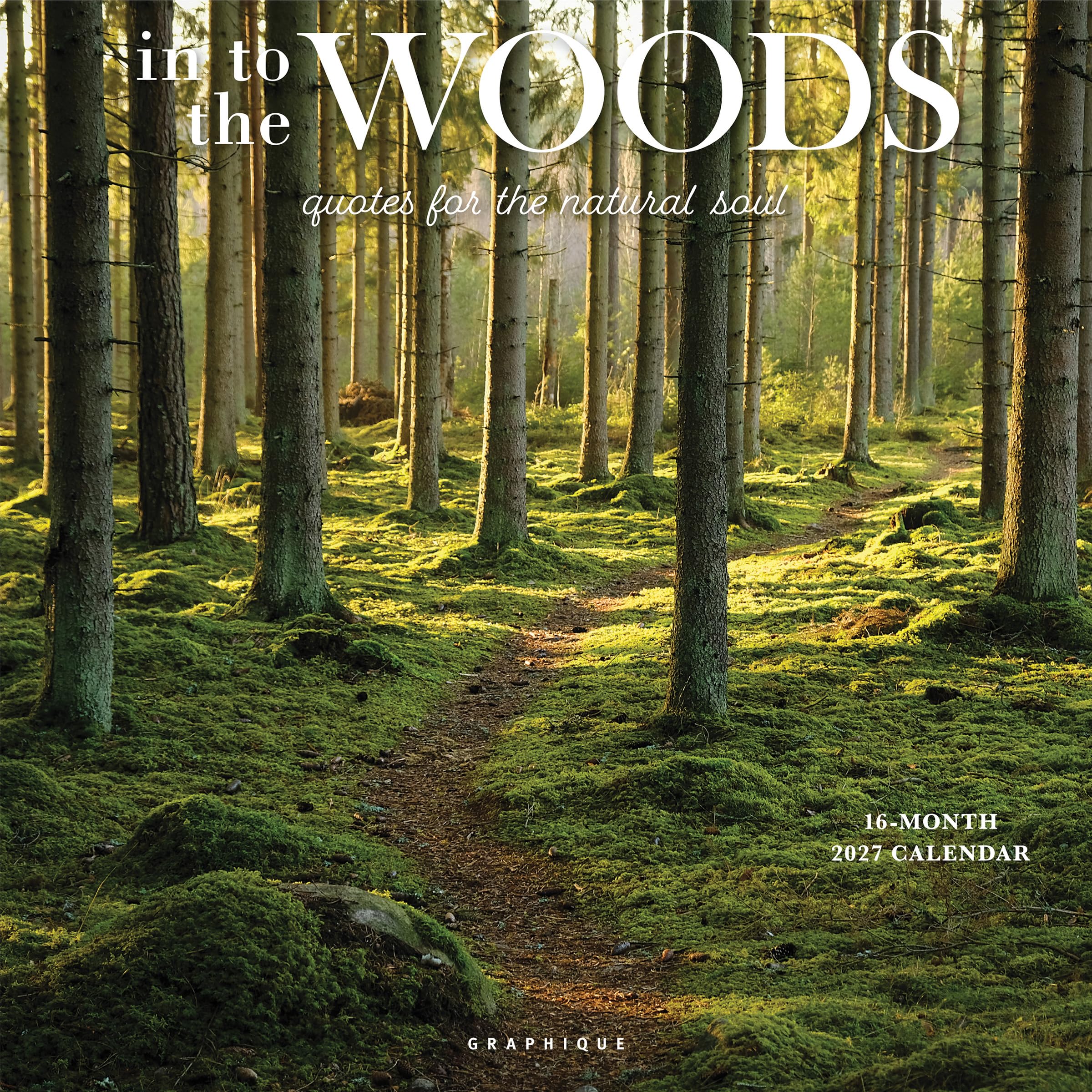 Into the Woods 2027 Wall Calendar, 30x30cm, 4 Month 2028 Preview Page
