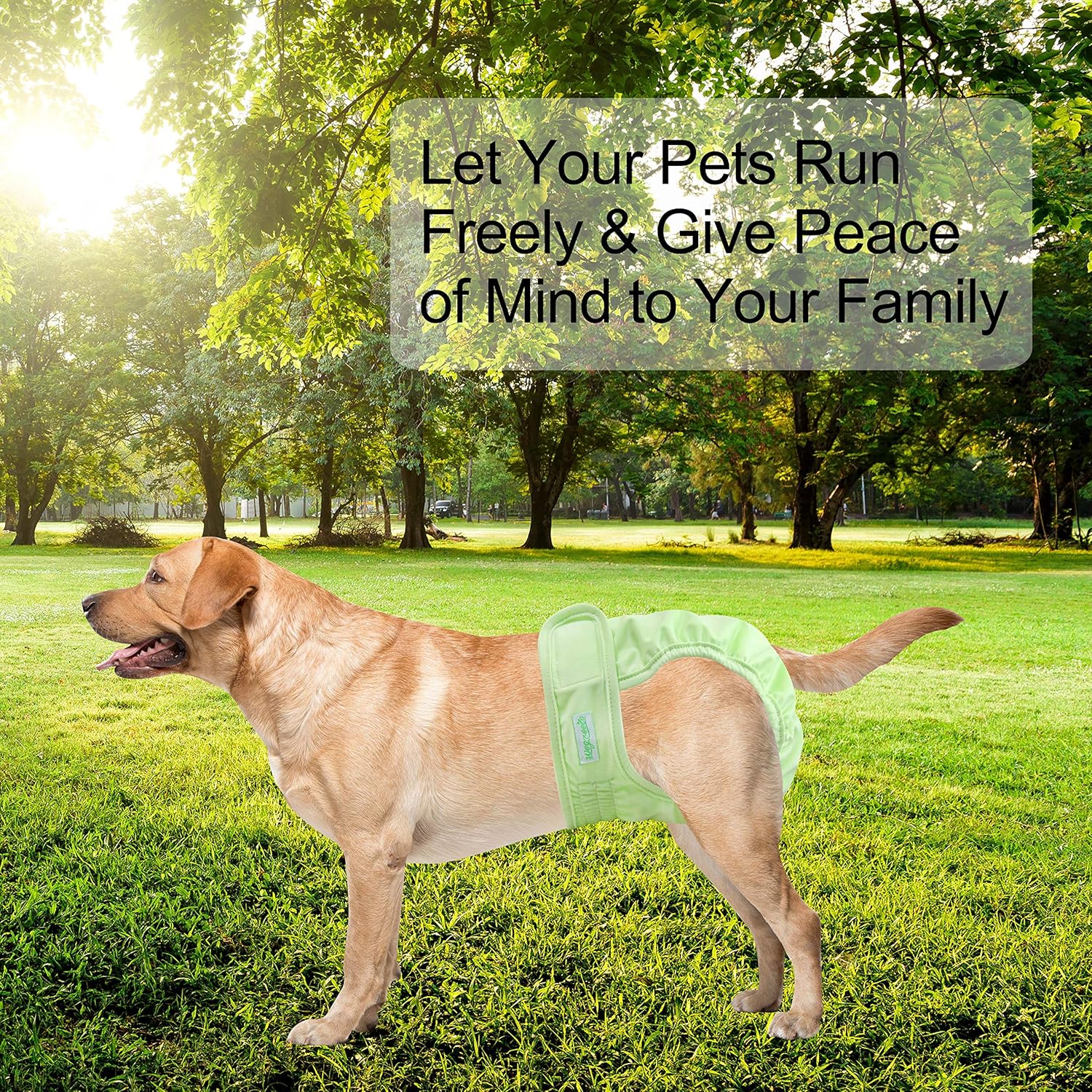 Buy wegreeco Christmas Washable Female Dog Diapers (Pack of 3) Online