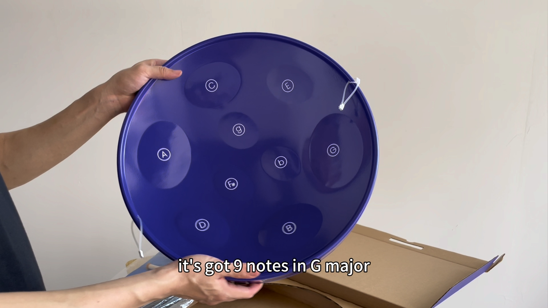 Amazon.com: 9-Note Steelpan (Steel drum) with Collapsible Stand