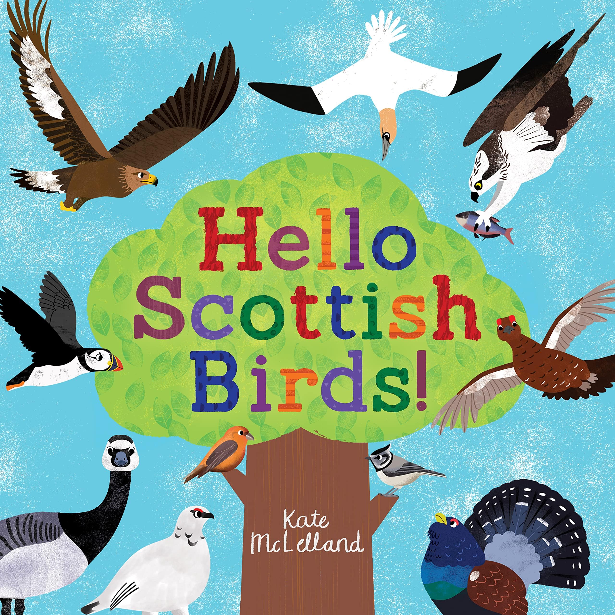 Floris Books Hello Scottish Birds