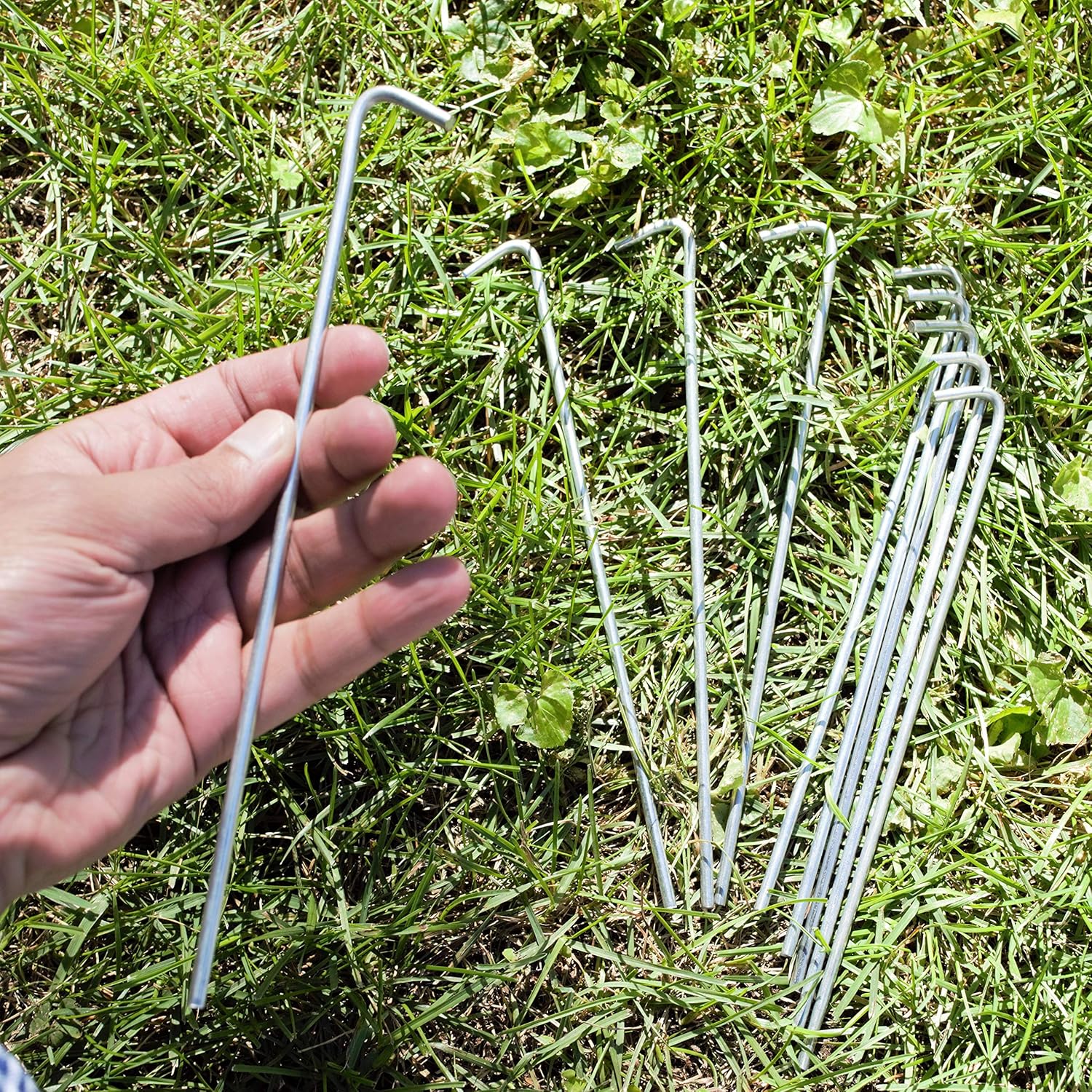 Galvanized Steel Tent Stakes, 40-Pack, Solid Steel Tent Pegs, Rust Resistant Metal Hook, Garden Stake for Plants and Landscaping, Perfect for Anchoring Camping Tents : Sports & Outdoors