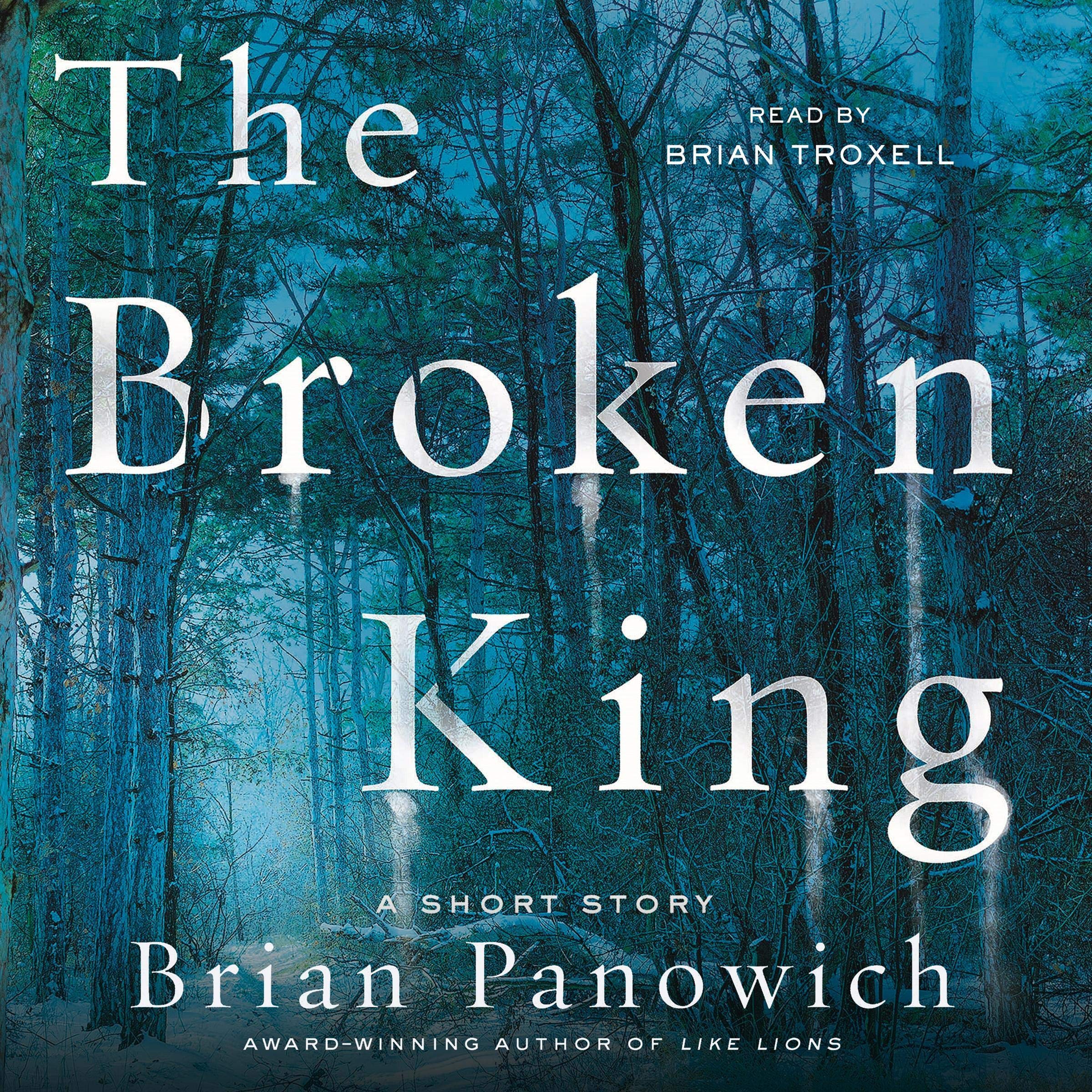 Cover art for The Broken King