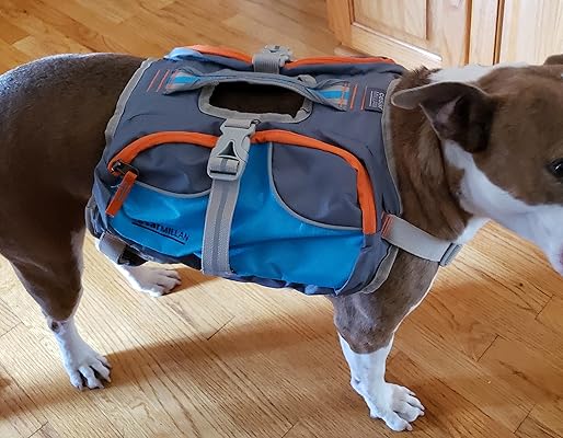 olly dog backpack