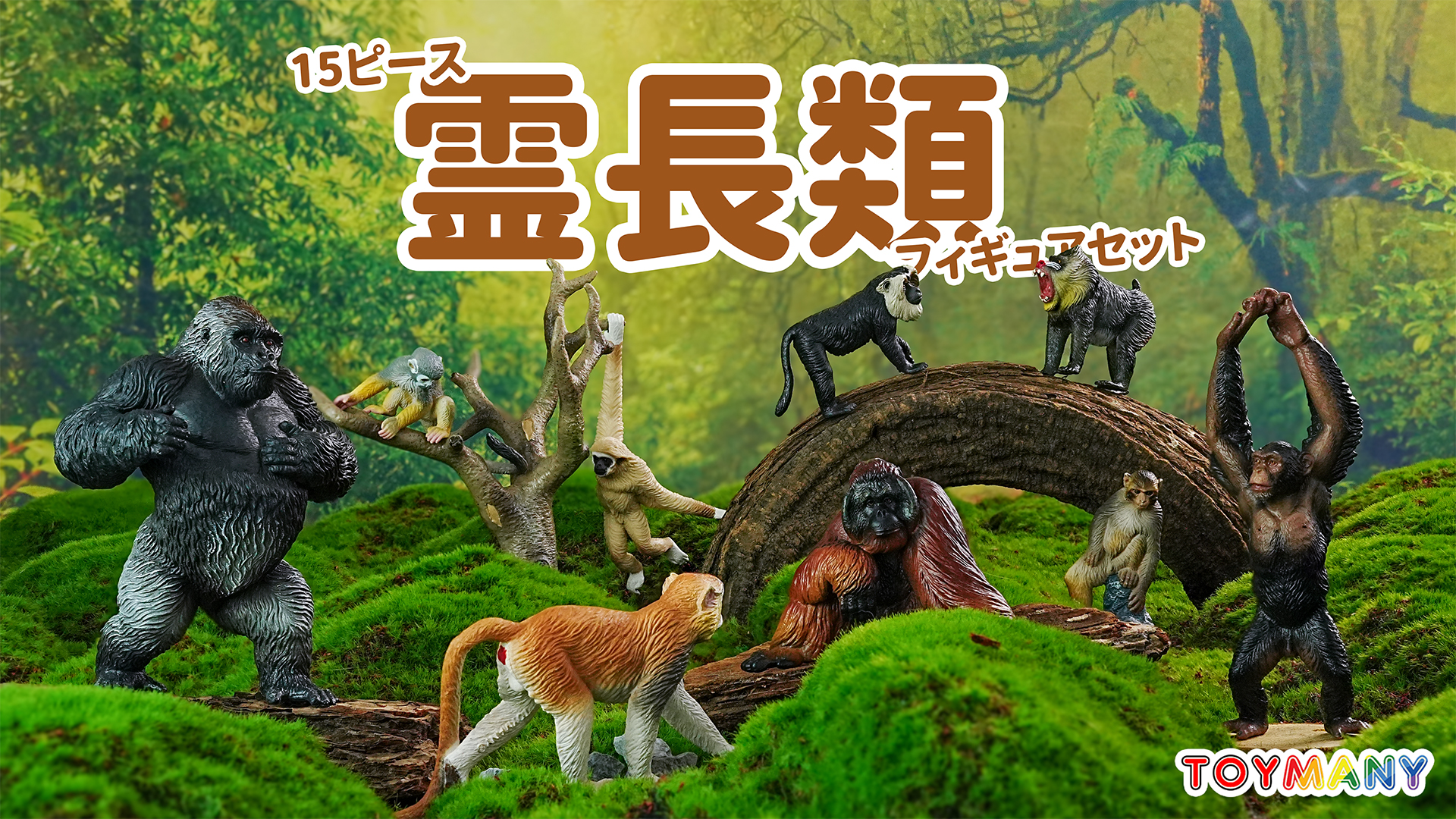 Amazon.co.jp: TOYMANY 15PCS 大きい猿フィギュア ゴリラフィギュア